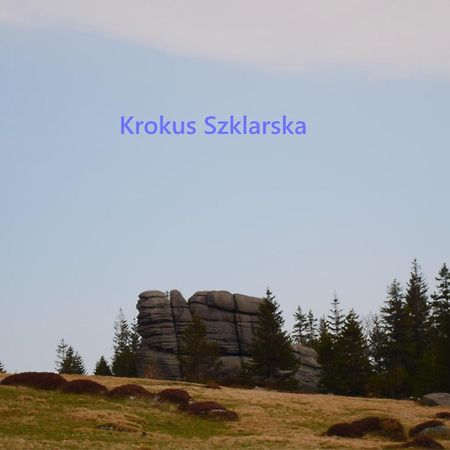 Apartament Krokus Szklarska Szklarska Poręba Εξωτερικό φωτογραφία