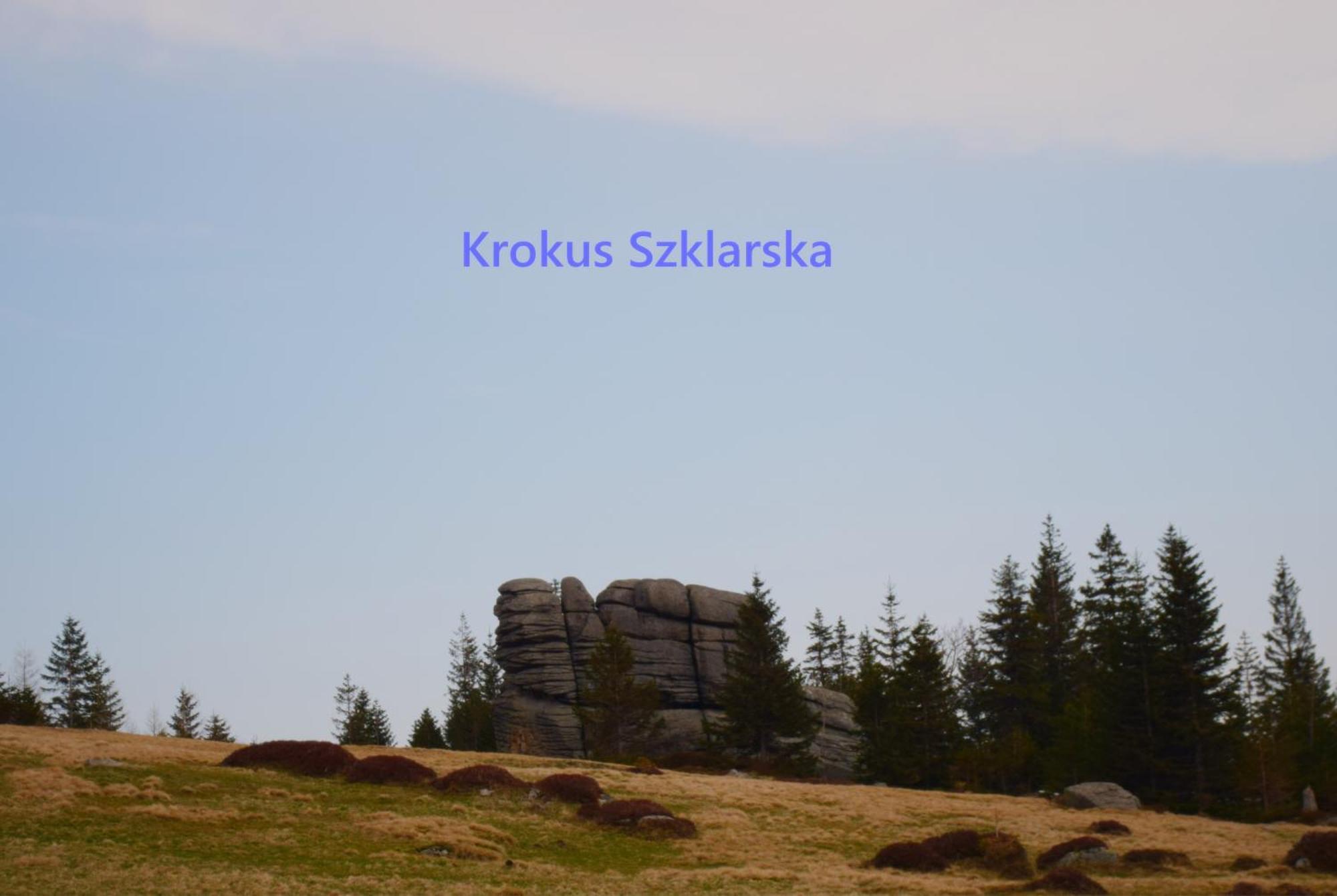 Apartament Krokus Szklarska Szklarska Poręba Εξωτερικό φωτογραφία