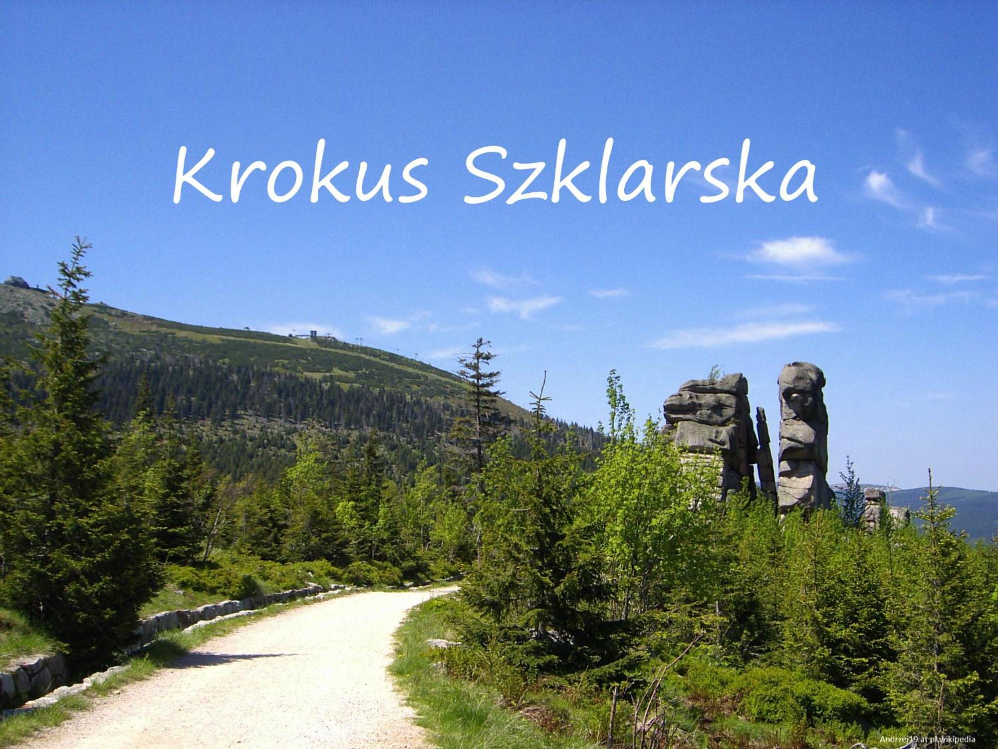 Apartament Krokus Szklarska Szklarska Poręba Εξωτερικό φωτογραφία